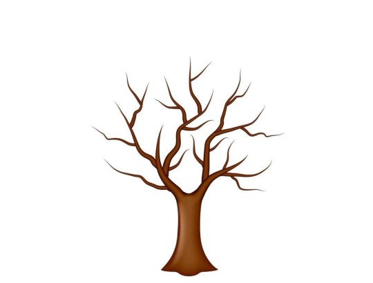 Lxv S 125 Silindir Piston Sekman